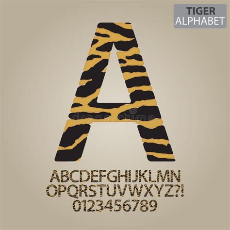 Tiger Stripe Alphabet And Numbers Vector Stock Vector Illustration Of