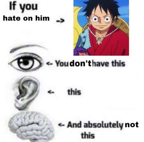 Luffy Antis Dont Deserve Rights In 2021 One Piece Meme One Piece