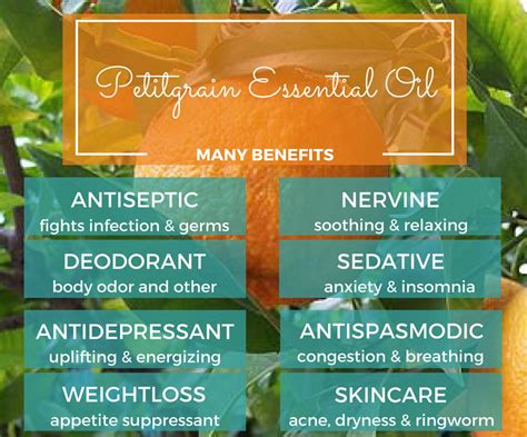 100 Pure And Natural Therapeutic Grade Petitgrain Essential Oil Orange