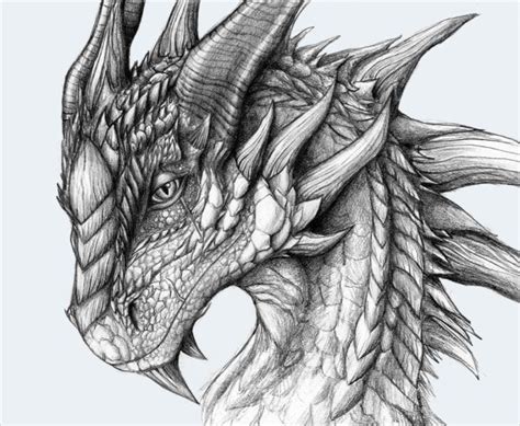 Dragondrawings ol dragon drawings ideas on jpg cliparting com. Cool Dragon Drawing Ideas - Creative Art