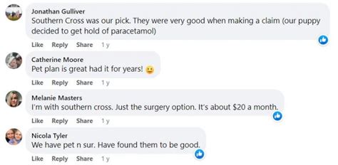 Compare Pet Insurance (2023 NZ Guide)