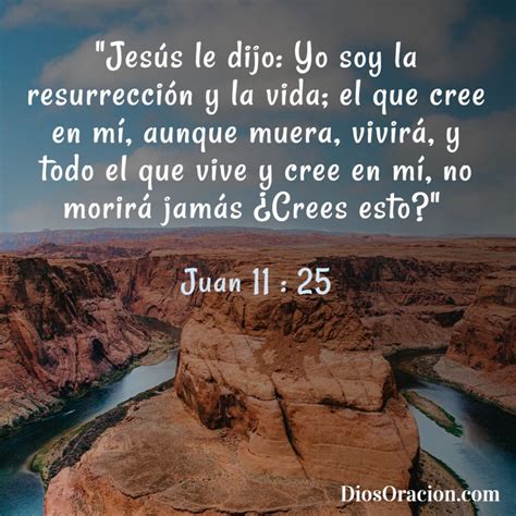 Versículos Hermosos De La Biblia Dios Oración