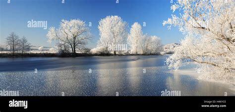 With Hoarfrost Covered Trees At A Half Frozen Lake Saxony Anhalt