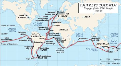 Charles Darwin Voyage Of The Hms Beagle Pictures Getty Images