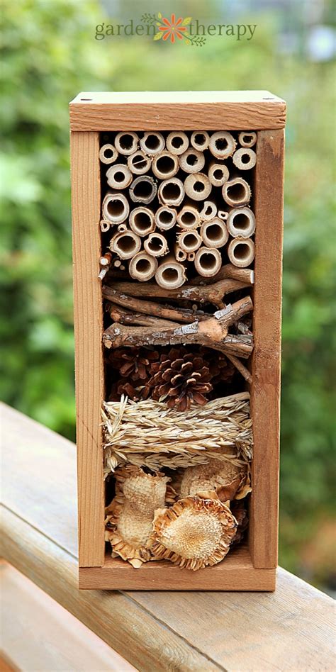 You can build an insect hotel for them to visit with this guide. Build a Bug Hotel - Garden Therapy