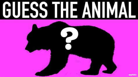 Guess The Animal Quiz 7 Guess All 20 Animals By Shadow Animal