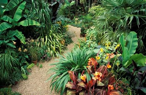 Tropical Garden Australia Tropical Garden Design Tropical