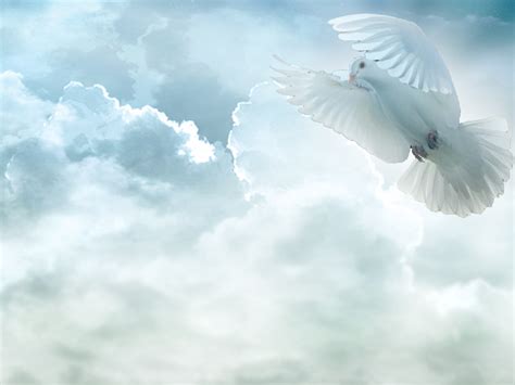 Holy Spirit Dove Flying Aaaa Watchman