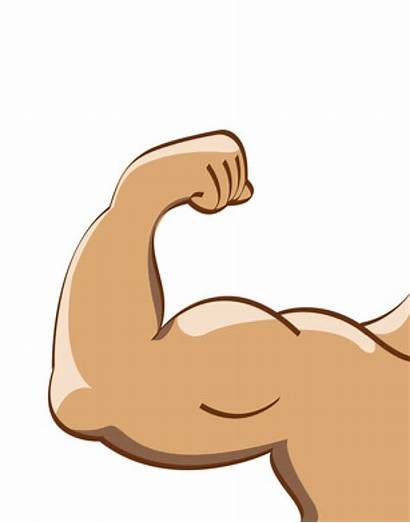 Arm Clipart Muscle Clip Clipground