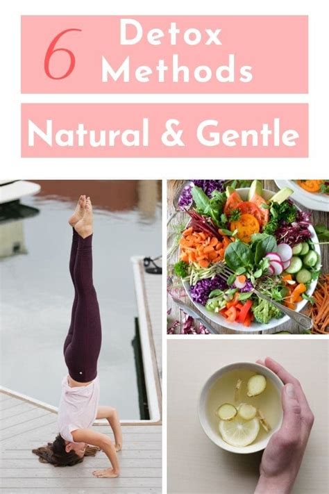 6 Gentle All Natural Detox Methods For Optimal Health 40 Aprons