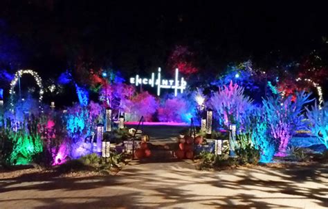 Magic Found At Descanso Gardens Enchanted Forest Of Light Crescenta