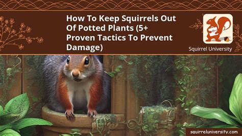 How To Keep Squirrels Out Of Potted Plants 5 Proven Tactics To