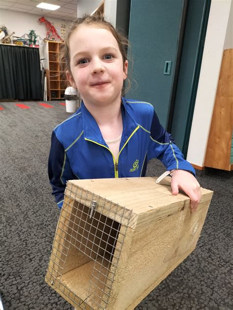 Building Rat Trap Boxes Kiwi Conservation Club