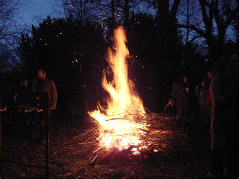 Winter Bonfire In The Woods Redfield Community