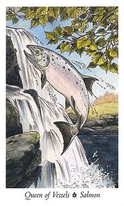 Fire, water, clouds, and rainbow, are equivalent to wands, cups, swords, and pentacles. Queen of Vessels Wildwood Tarot Card Meanings - Salmon | TarotX