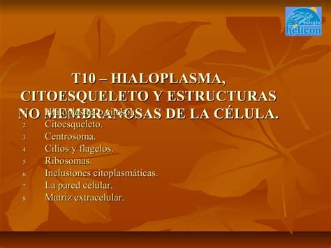 T10 Hialoplasma Citoesqueleto Y Estructuras No Membranosas De La