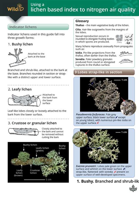 Lichens Of Heaths And Moors Guide Field Studies Council