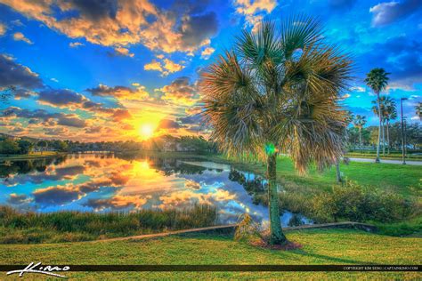 Sunrise Palm Beach Gardens Lake Palm Tree Hdr Photography By Captain Kimo