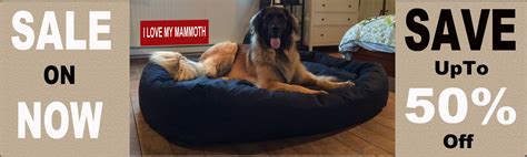 Mammoth Dog Beds For Large Dogs Usa Vet Recommended Beds
