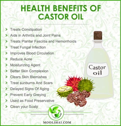 Unbelievable Health Benefits Of Castor Oil