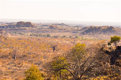 Secrets Of Mapungubwe National Park That Will Have You Visiting