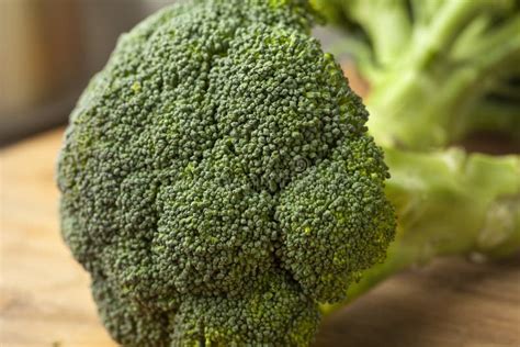 Fresh Green Broccoli Stock Image Image Of Organic Ingredient 87785675