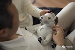 Aibo机器狗：索尼旗下智能机器宠物，时隔12年重返市场，模拟真实养宠体验