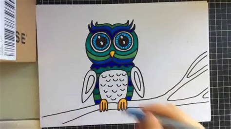 How To Draw A Cute Owl With Sharpies Youtube