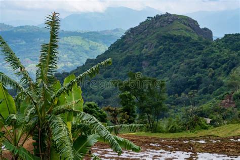 Scenic View Of Mountain Village In Sri Lanka Stock Photo Image Of