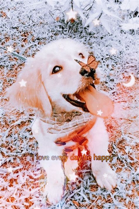 Aesthetic Dog Image By ~🌸peachxsaesthete🌸~ Animals Cute Dogs