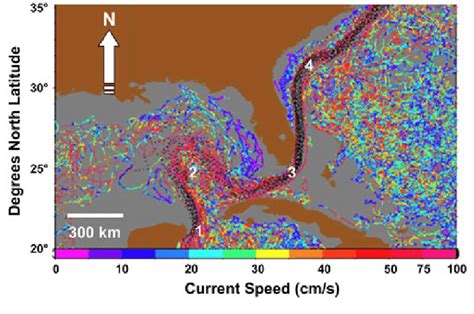 Sea Surface Current Speeds Cms In The Gulf Of Mexico And In Waters