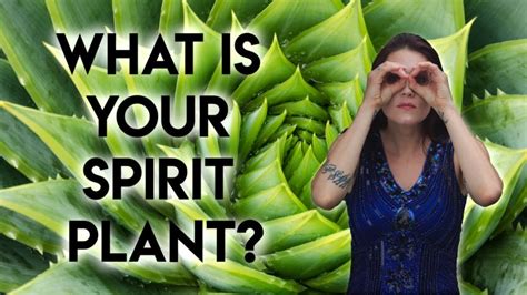 Spirit Plants What Is A Spirit Plant And How To Find Your Spirit Plant Spirituality Teal Swan