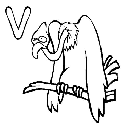 Vultures coloring printable page for kids. Vulture coloring pages download and print for free