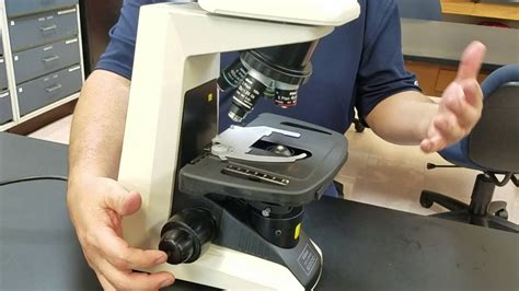 Introduction To The Compound Microscope Youtube