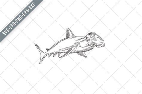 Great Hammerhead Shark Svg Illustrations Creative Market