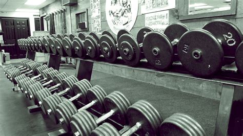 We did not find results for: 12 Best Gyms In Delhi That Will Get You Sweaty