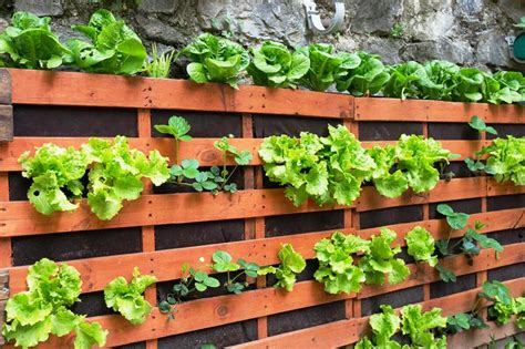 Perfect And Innovative Vertical Gardens Go Green