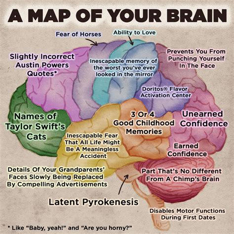 The Worlds Most Accurate Brain Map
