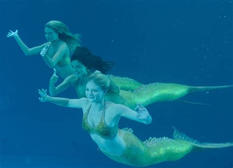 H20 just add water mermaids. Image - Mermaids OK.jpg | H2O Just Add Water Wiki | Fandom ...