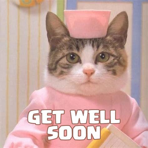 Get Well Soon Meme Cat