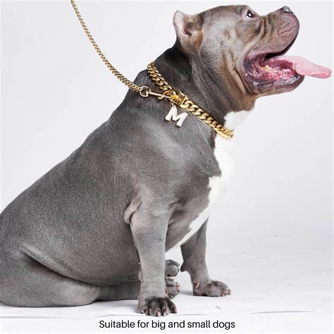 Cuban Link Gold Chain Dog Collar Heavy Duty Dog Chains Spark Paws