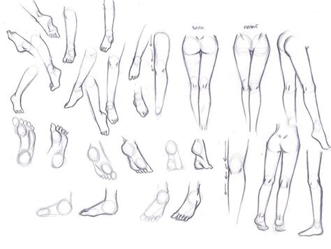 Leg Porportions Feet Drawing Anime Drawings Tutorials Drawings