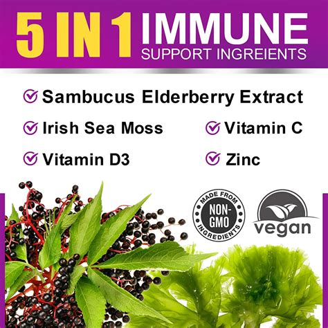 Buy B Beworths Elderberry And Sea Moss Gummies Organic Black Sambucus