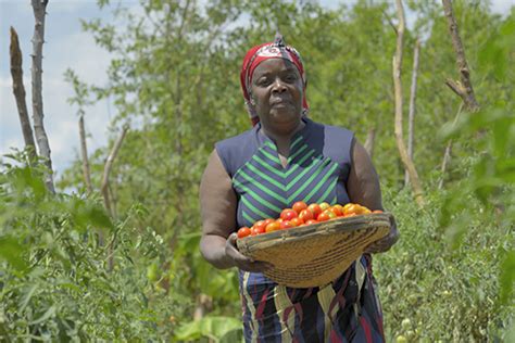 finca zambia fondation grameen crédit agricole