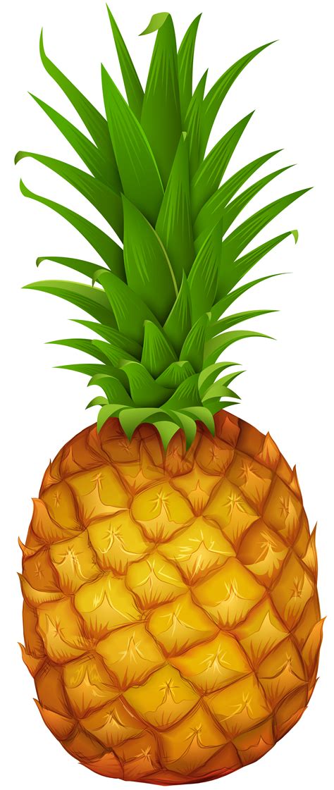 Pineapple Png Clipart Gallery Yopriceville High Quality Images And
