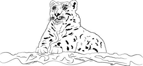 Snow Leopard Coloring Page Etsy