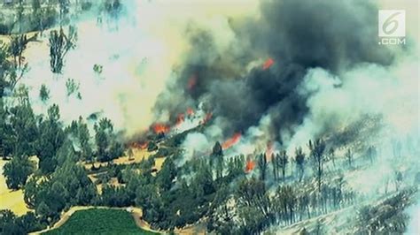 Video Kebakaran Hutan California Ribuan Warga Mengungsi Global