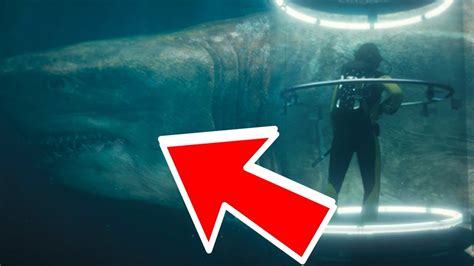 Megalodon Shark Found In Mariana Trench YouTube