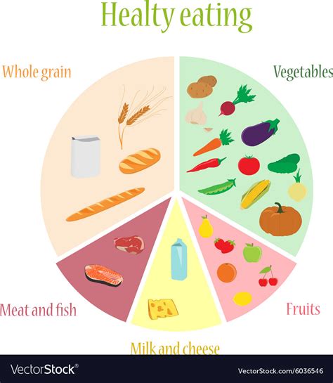 Healthy Eating Chart Royalty Free Vector Image