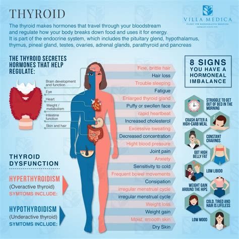 Thyroid Gland Disorders Symptoms And Diagnosis Modes